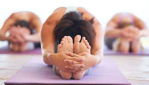 tl_files/bilder/yoga.jpg